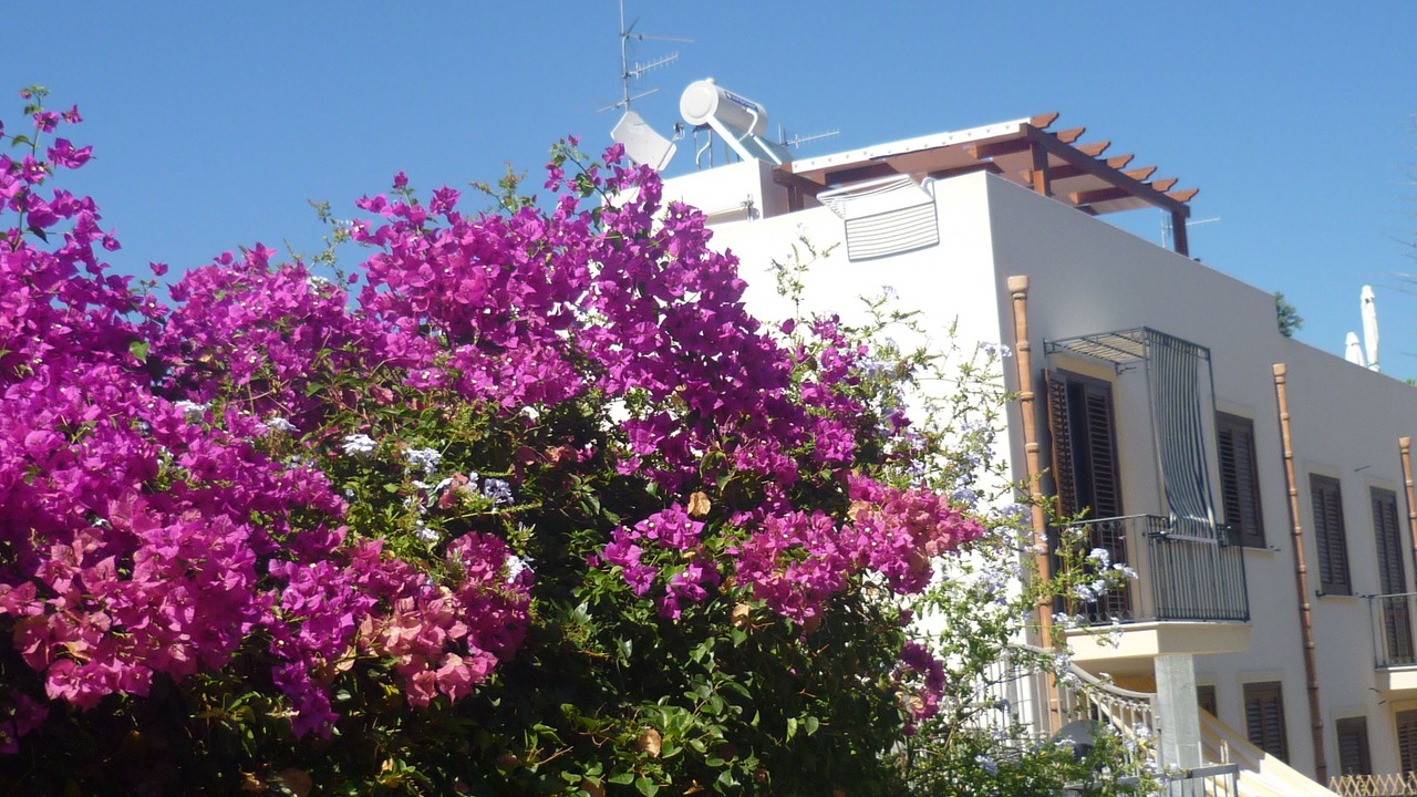 Photo of Outdoor in San Vito Lo Capo