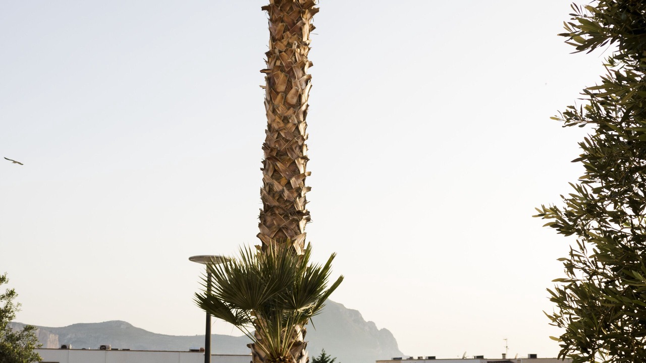Photo of Outdoor in Macari