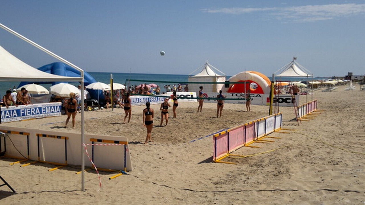 Photo of Others in Solfarelli