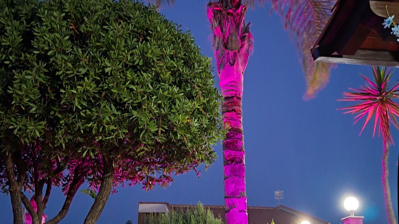 Photo of Outdoor in Solfarelli