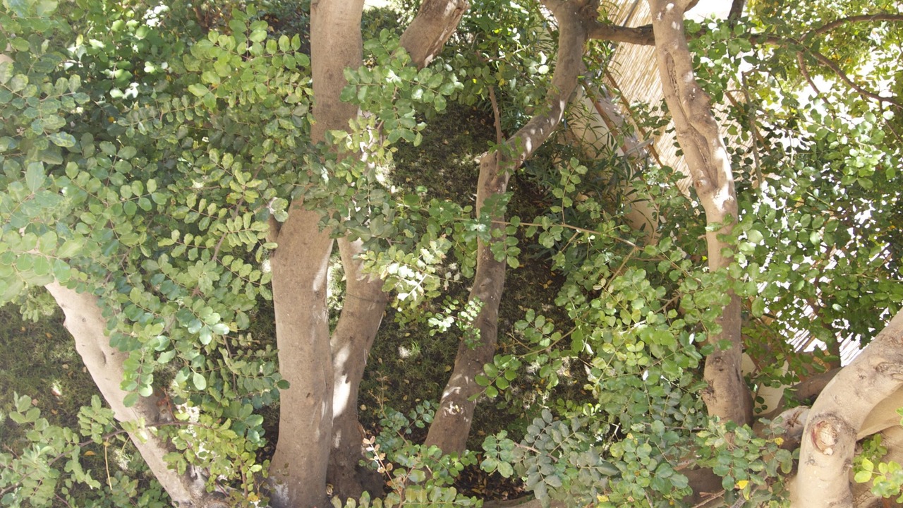 Photo of Outdoor in Marina di Ragusa