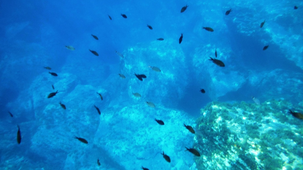 Photo of Outdoor in Pantelleria