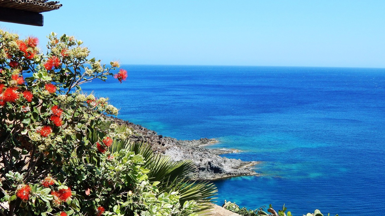 Photo of Others in Pantelleria