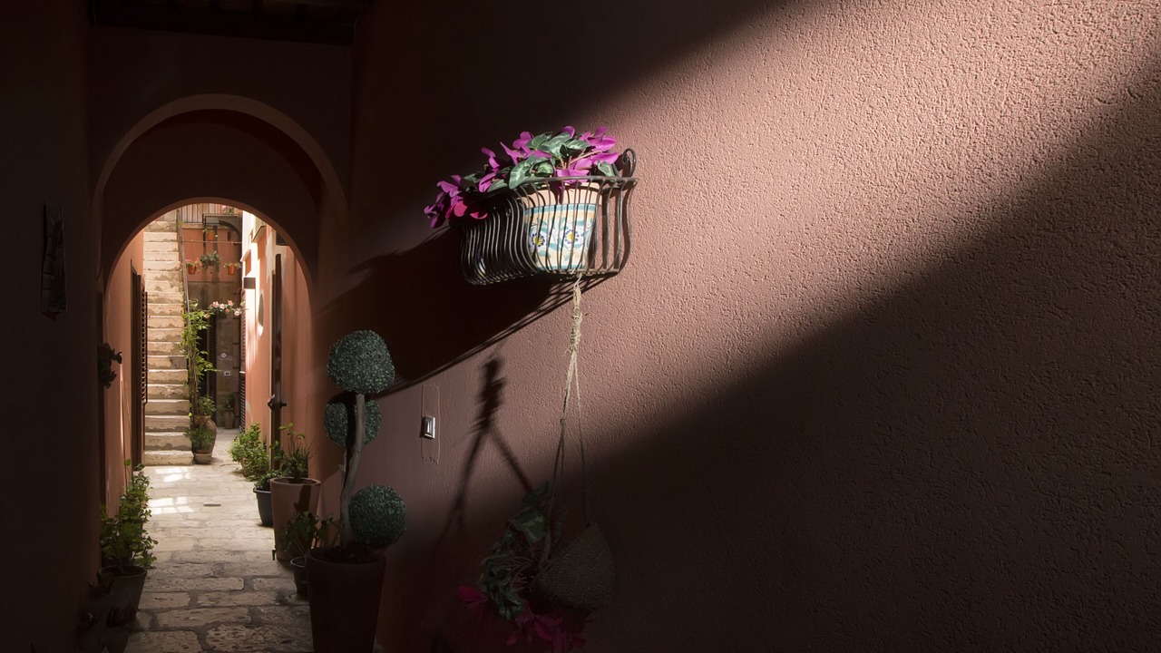 Photo of Others in Trapani City Centre