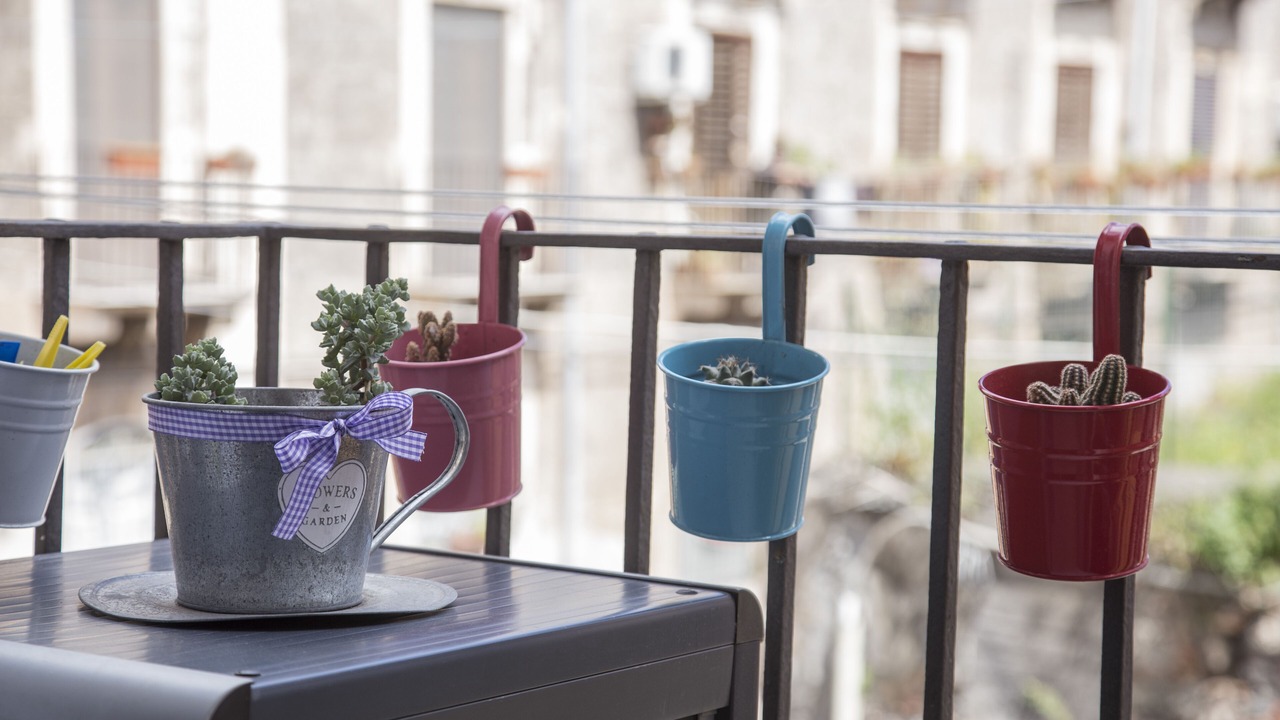 Photo of Outdoor in Old Town