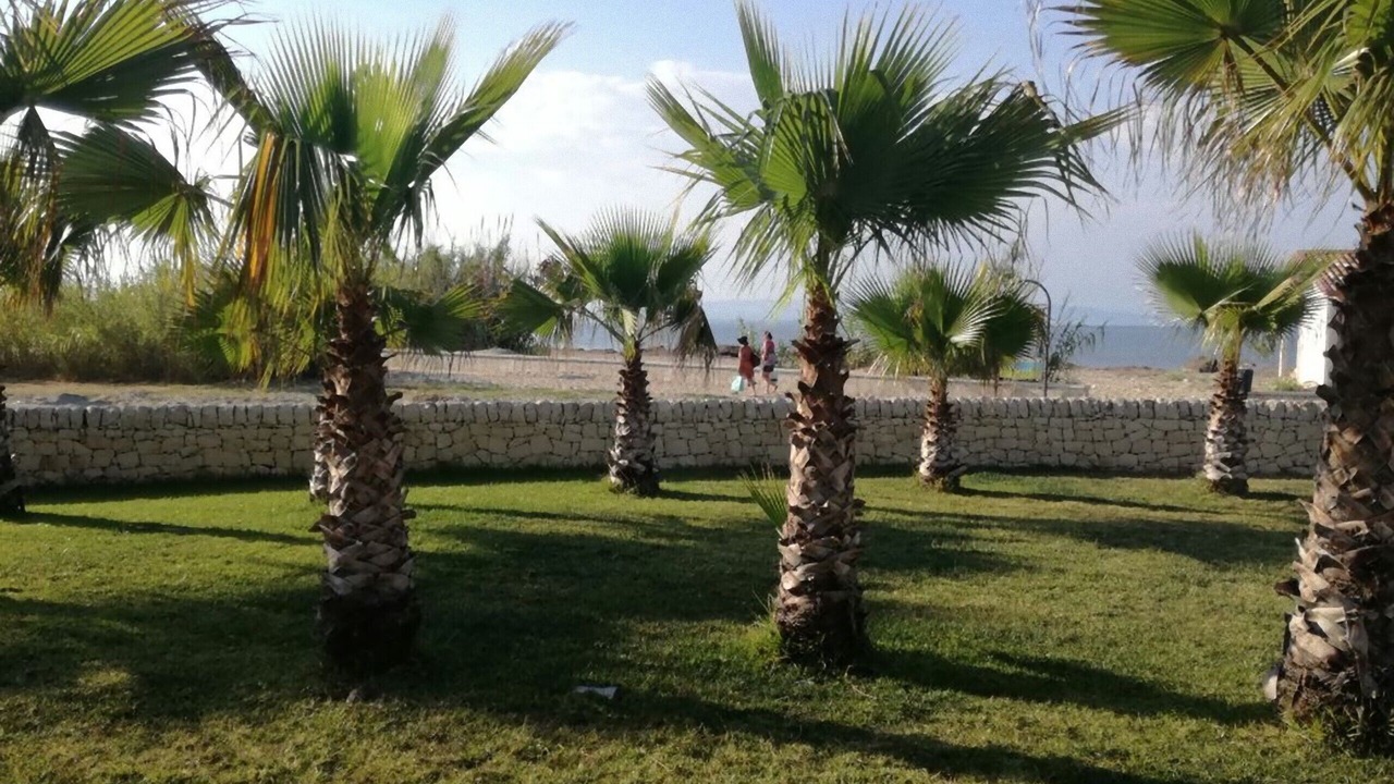Photo of Outdoor in Marzamemi