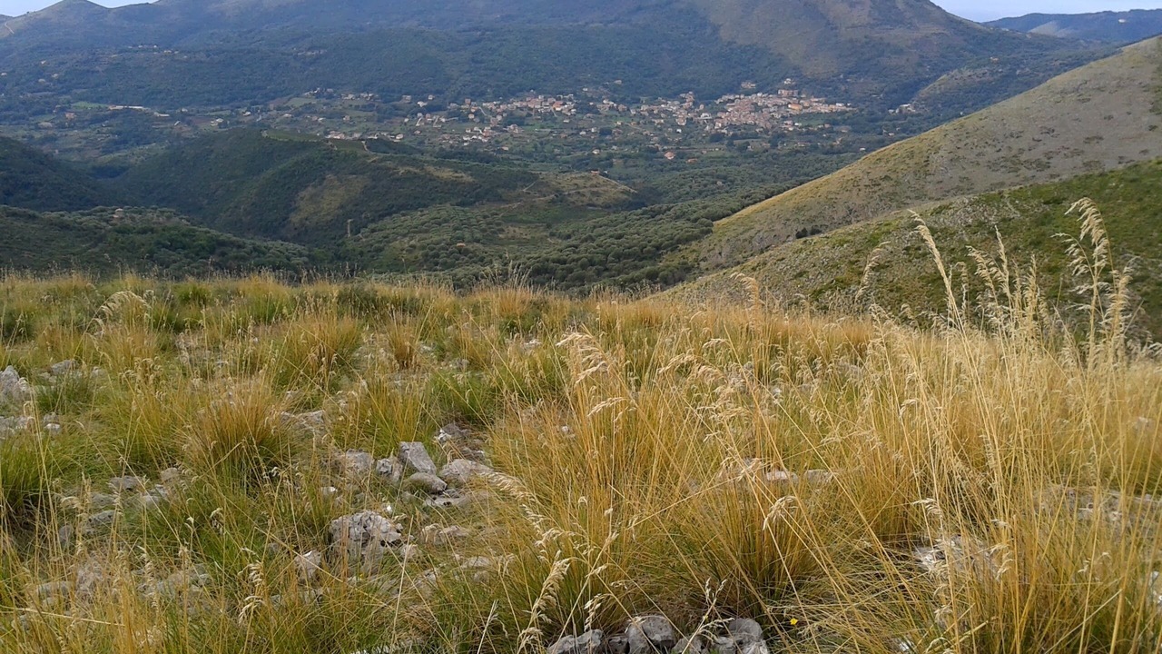 Photo of Outdoor in Licusati