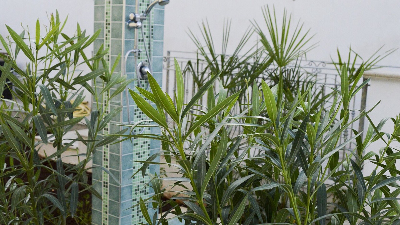Photo of Outdoor in Mazara del Vallo