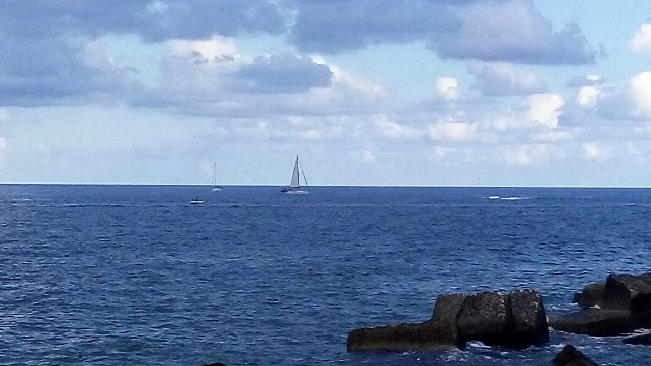 Photo of Others in Arenella