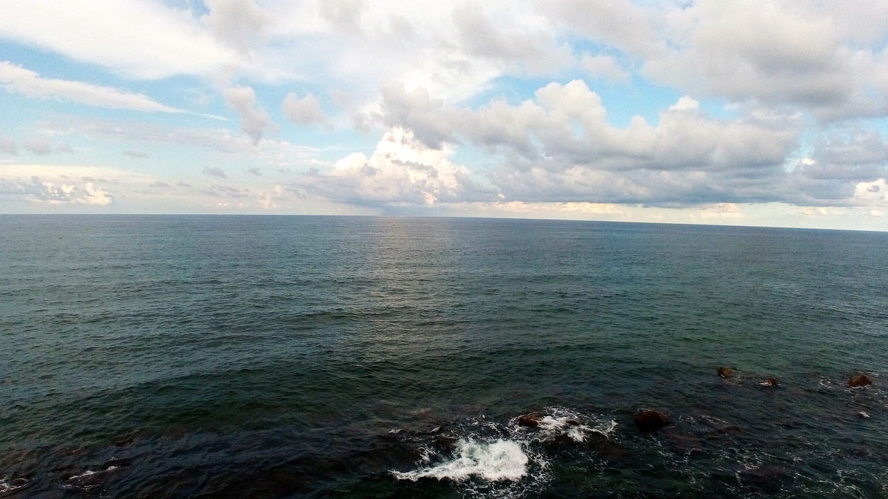 Photo of Others in Arenella