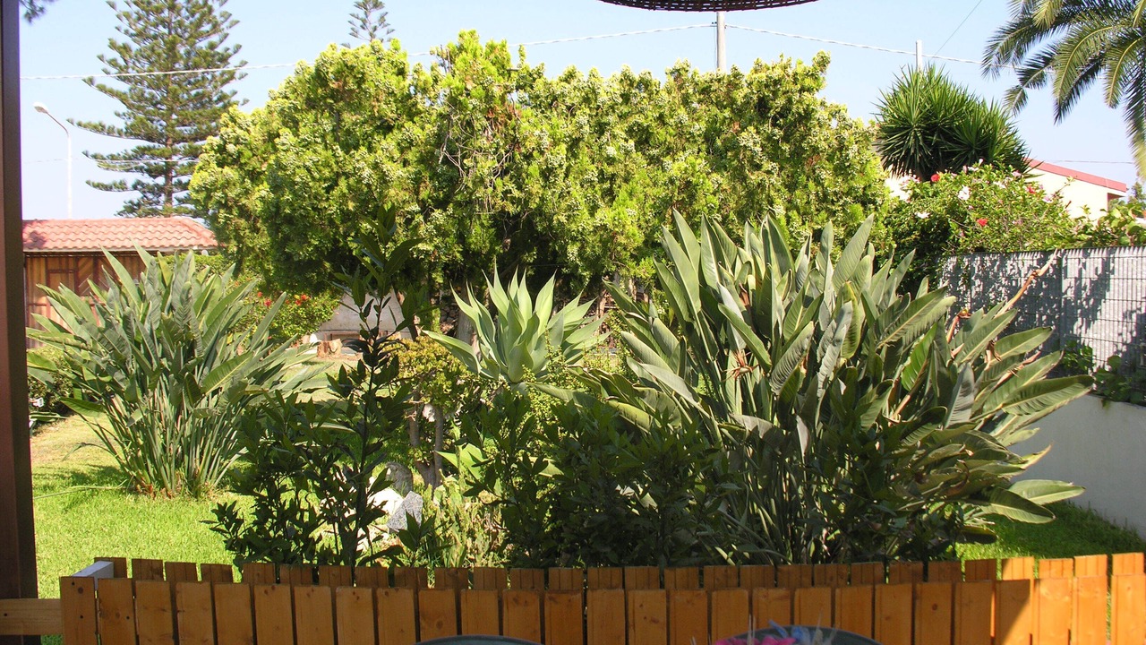 Photo of Outdoor in Arenella