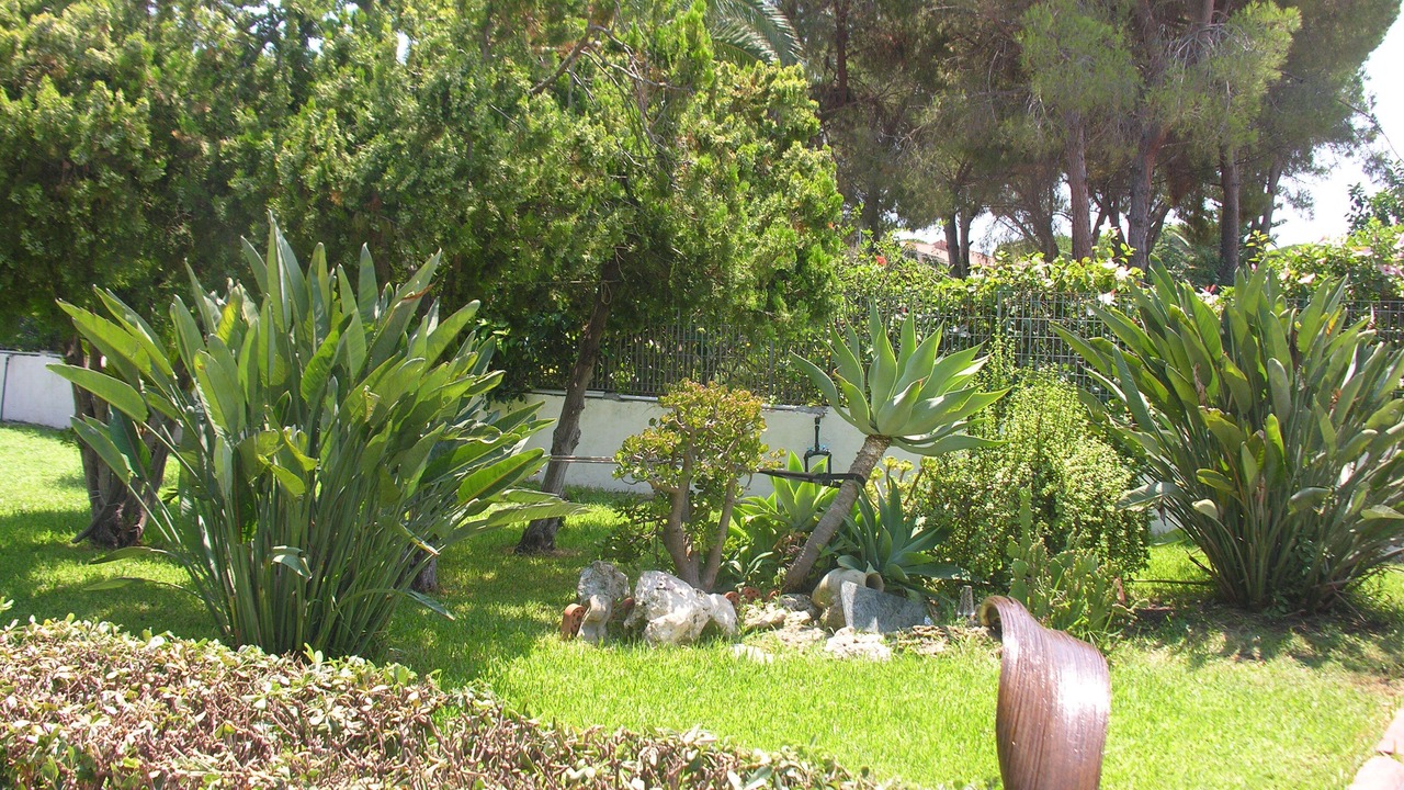 Photo of Outdoor in Arenella