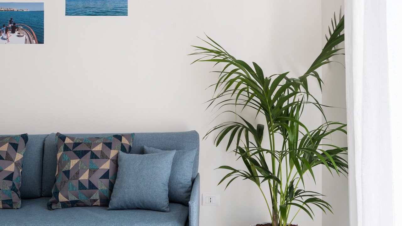 Photo of Livingroom in Syracuse