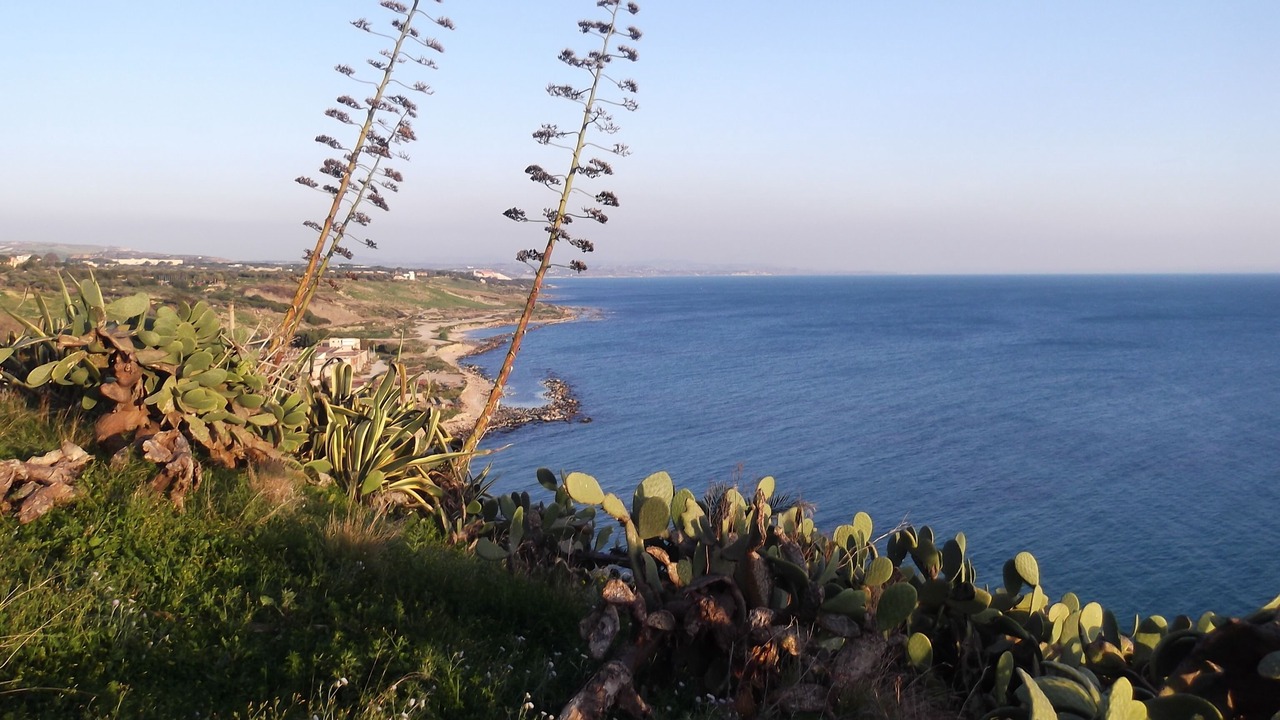 Photo of Others in Siculiana