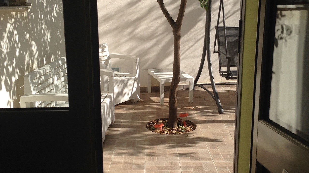 Photo of Others in Palermo