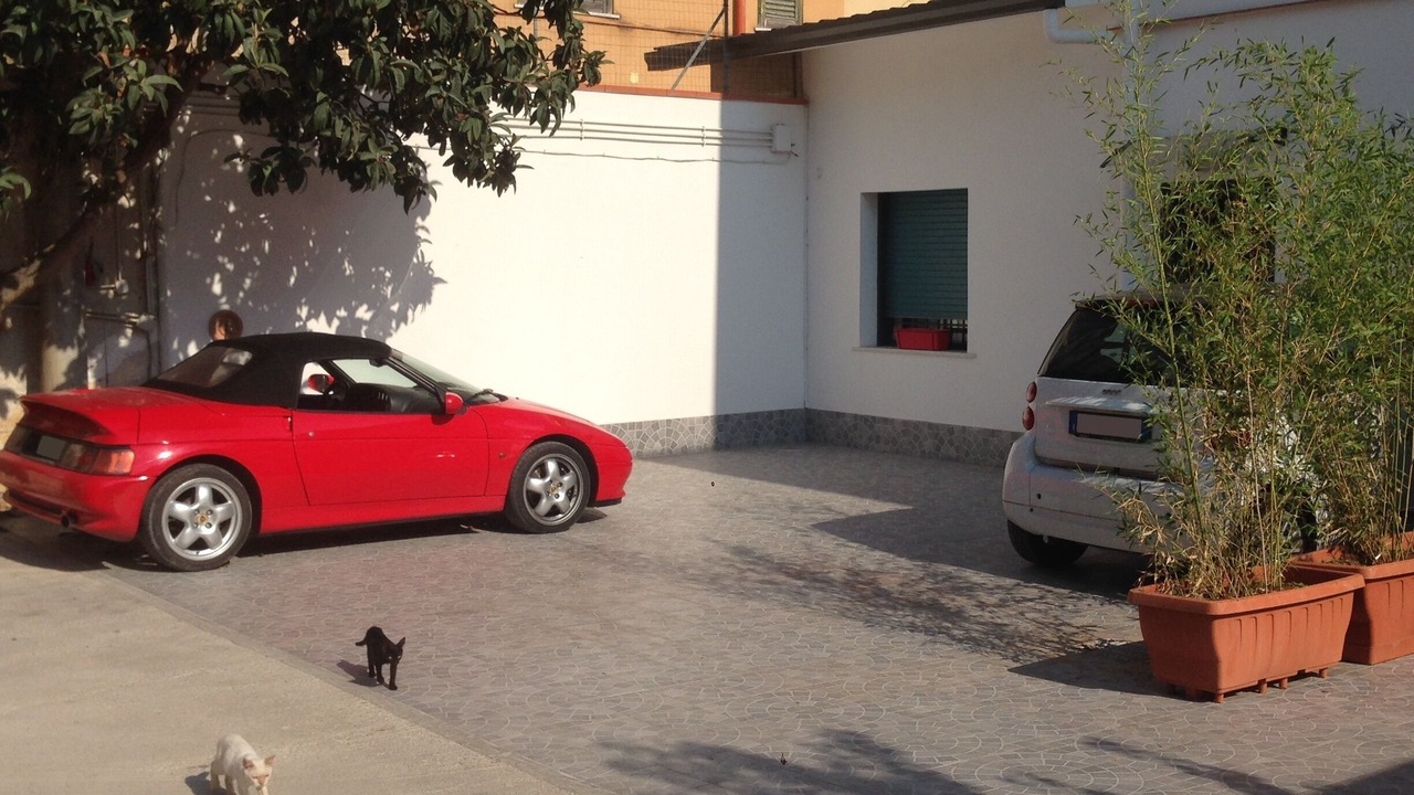 Photo of Outdoor in Palermo