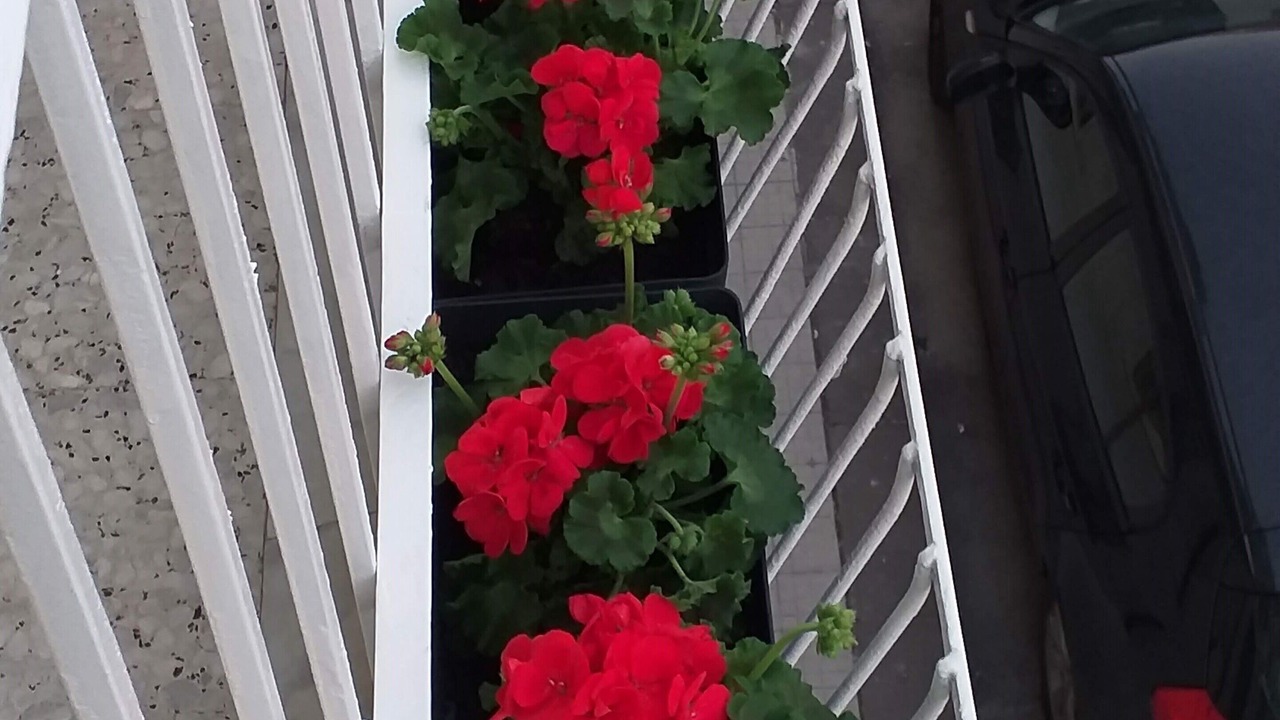 Photo of Patio Balcony in Santa Lucia