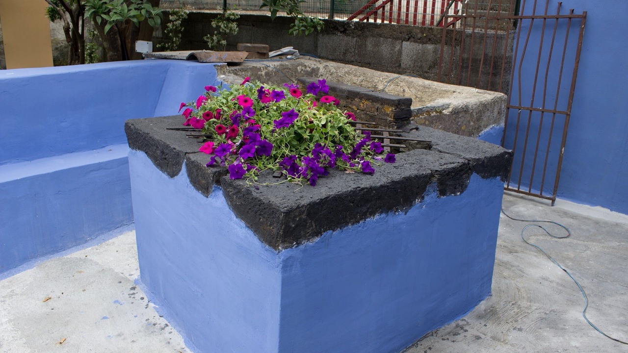 Photo of Outdoor in Macchia