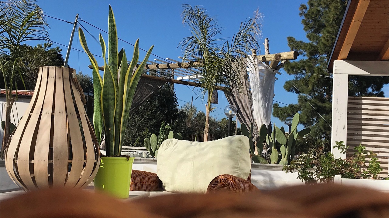 Photo of Outdoor in Trabia