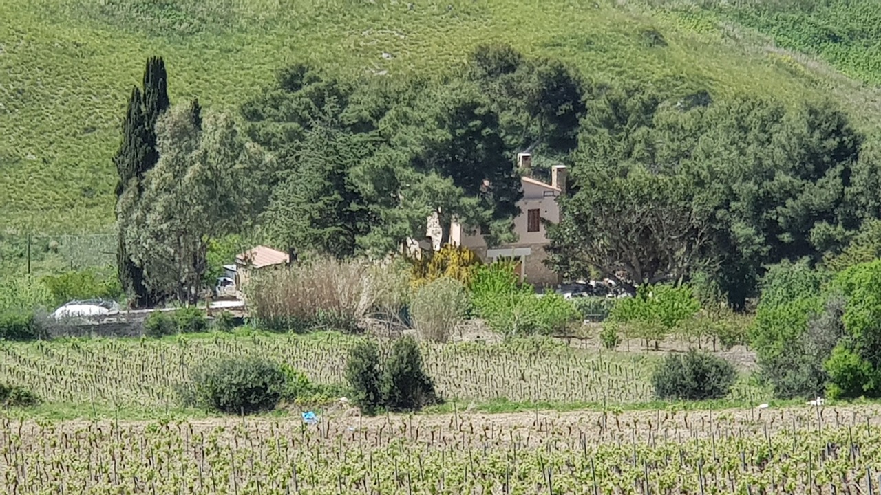 Photo of Outdoor in Salemi