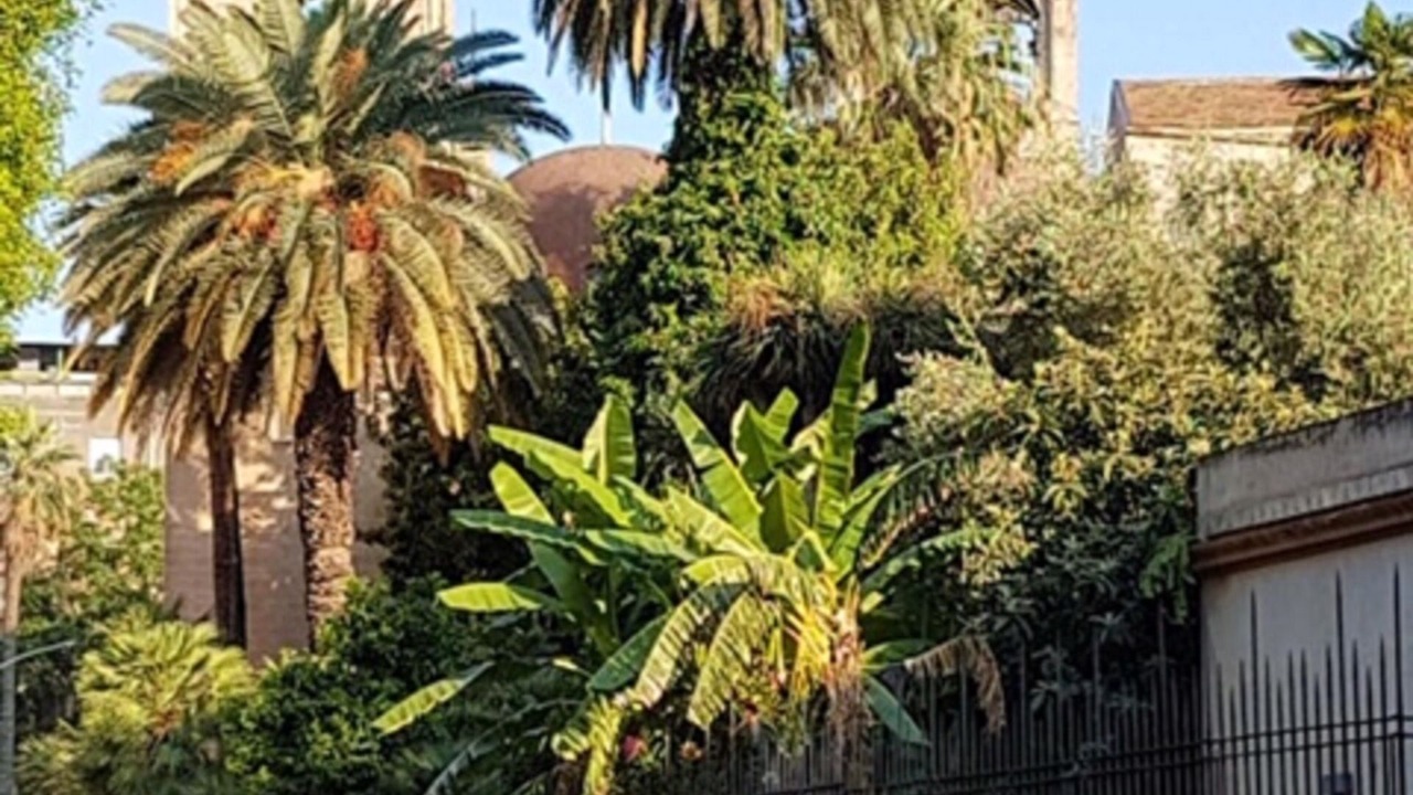 Photo of Outdoor in Albergheria