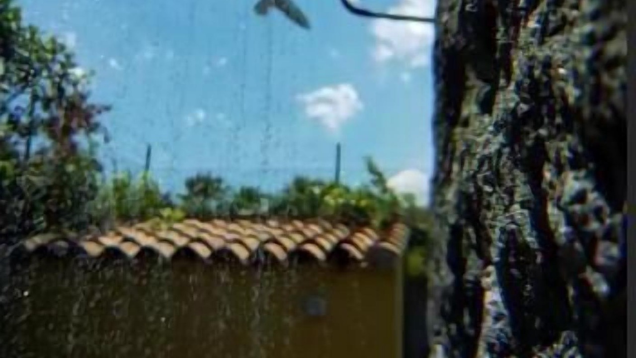 Photo of Outdoor in Archi