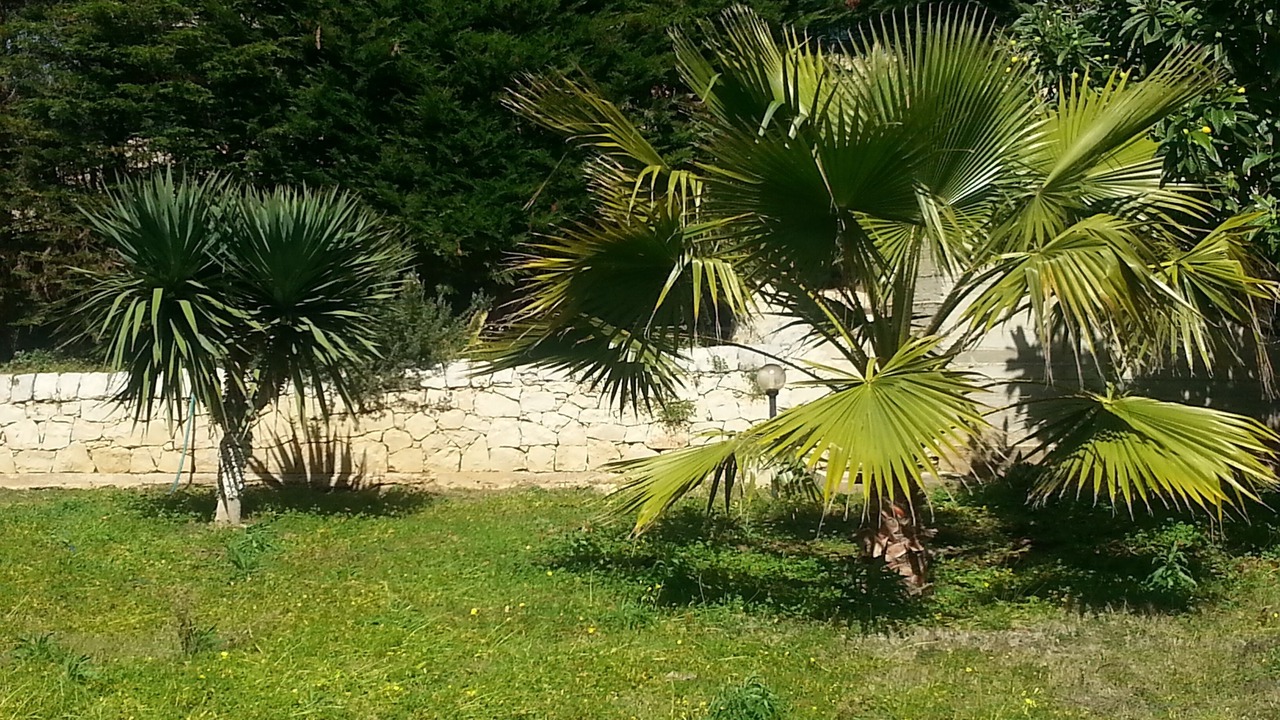 Photo of Outdoor in Cava dʼAliga