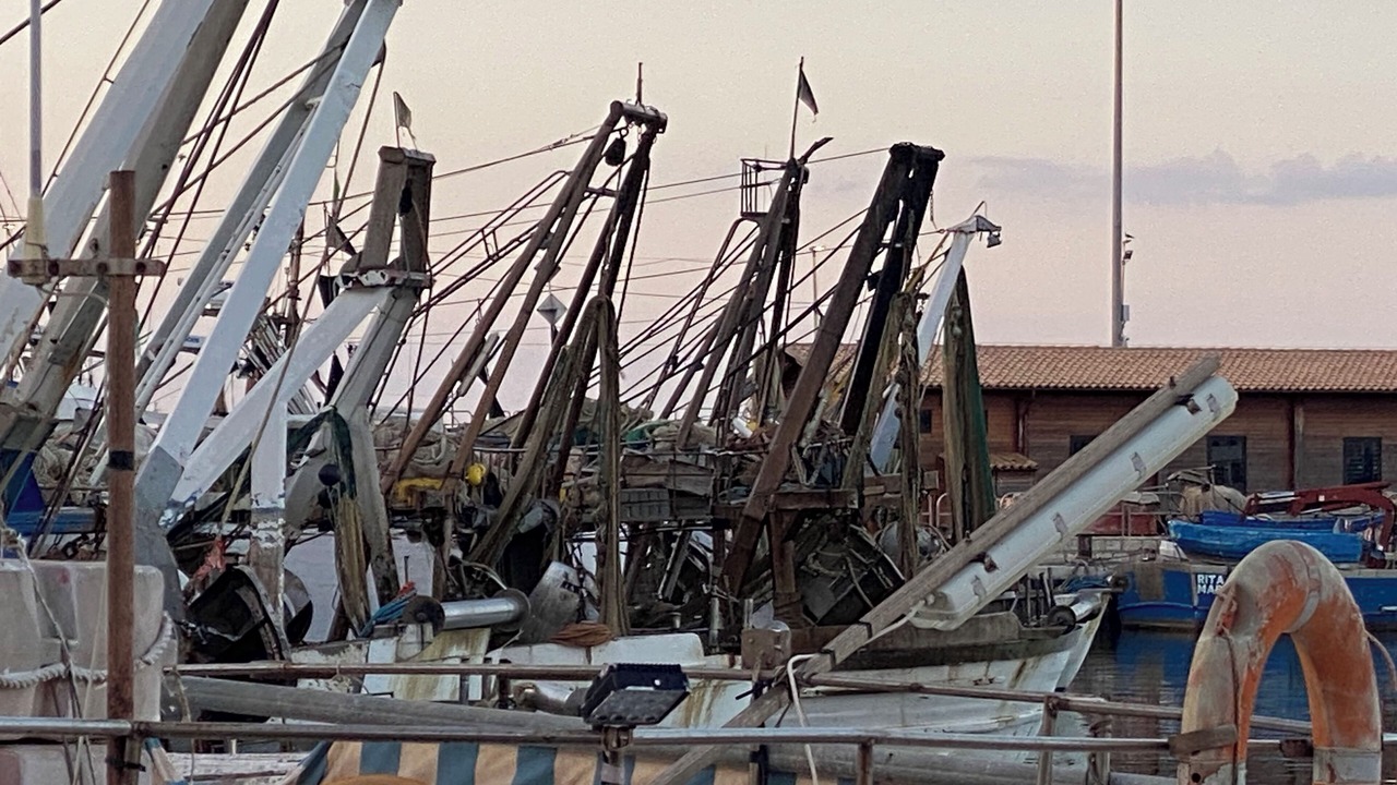 Photo of Others in Sciacca