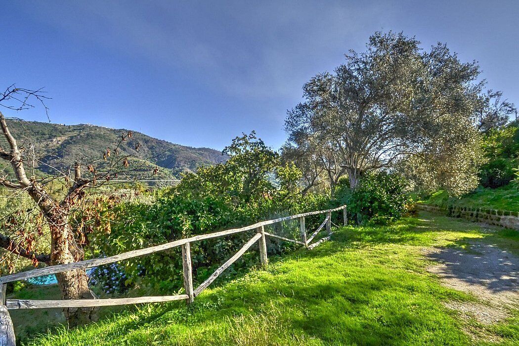 Photo of Outdoor in Mirto