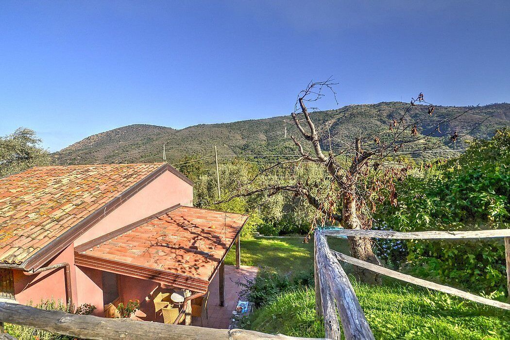 Photo of Outdoor in Mirto