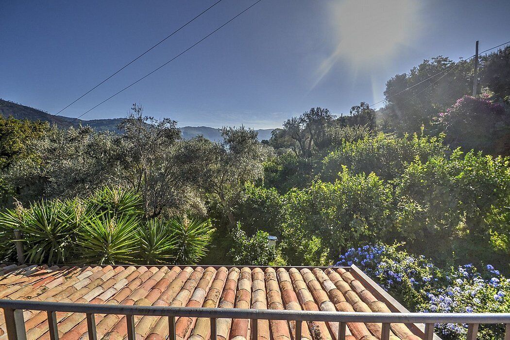 Photo of Outdoor in Mirto