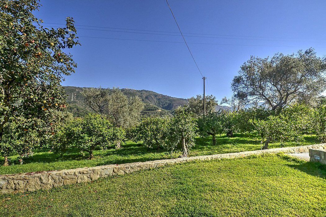 Photo of Outdoor in Mirto