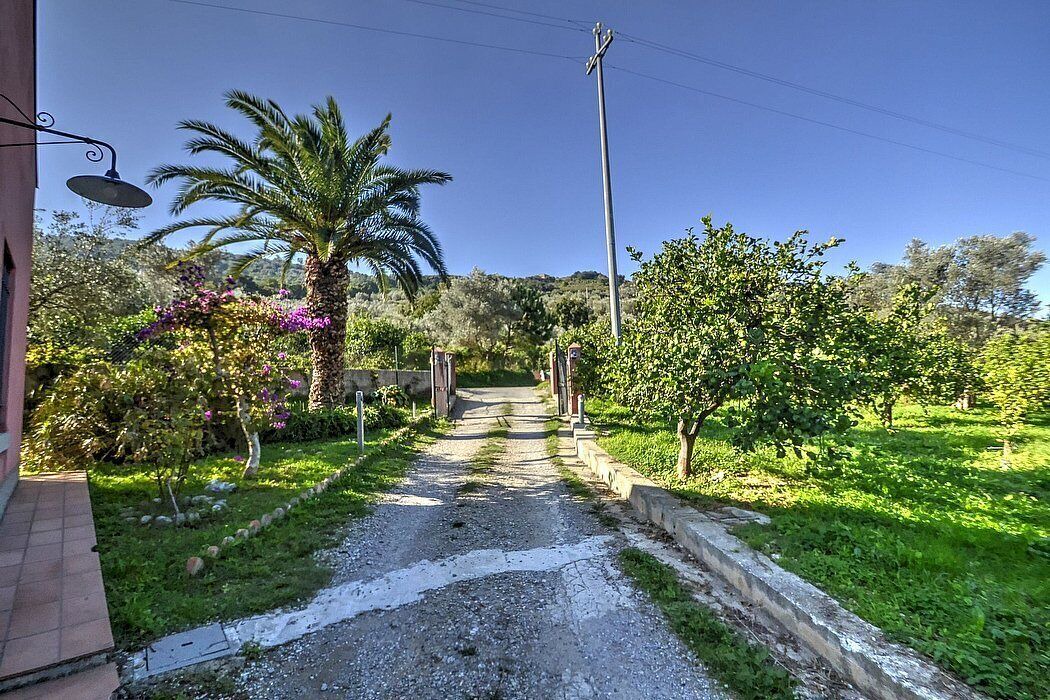 Photo of Outdoor in Mirto