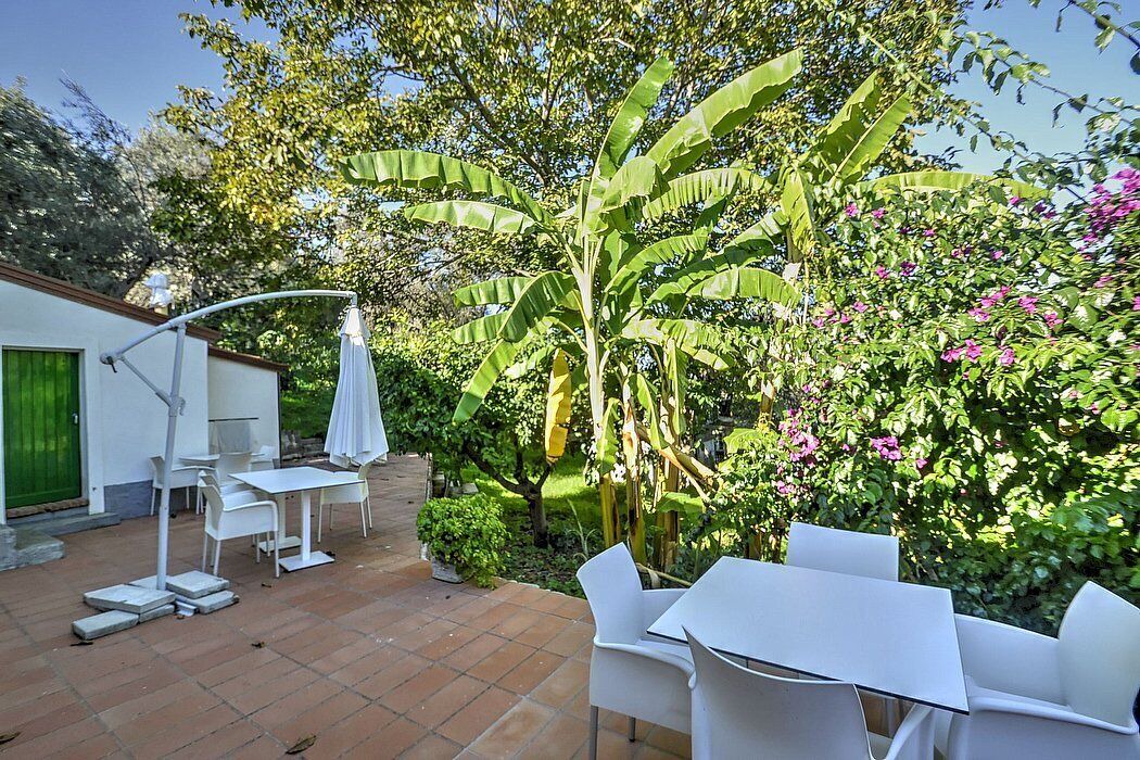 Photo of Outdoor in Mirto