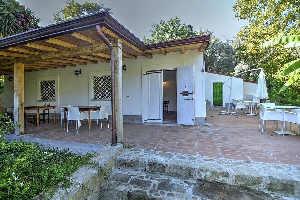 Photo of Outdoor in Mirto