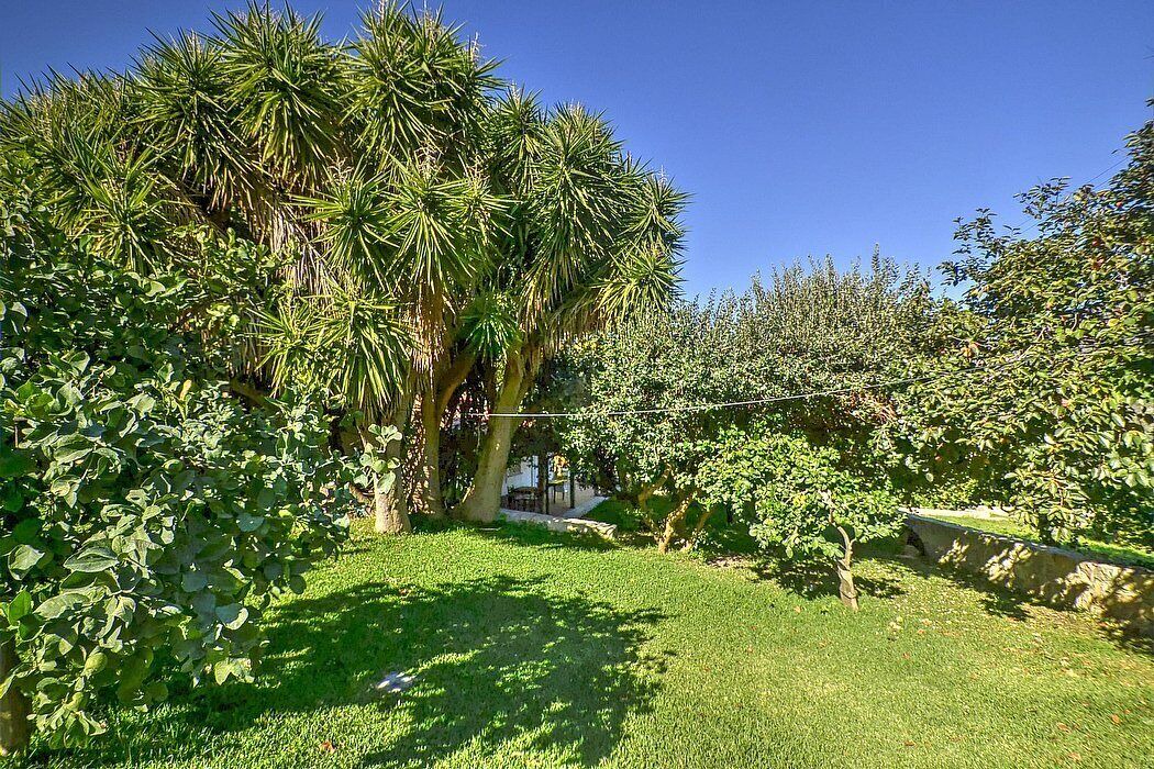 Photo of Outdoor in Mirto