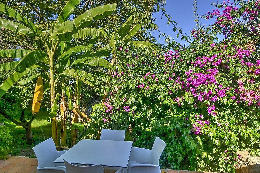 Photo of Outdoor in Mirto