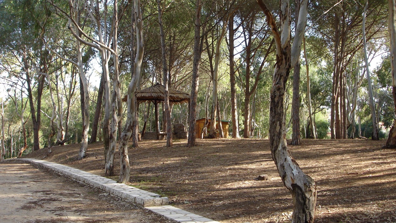 Photo of Outdoor in Balestrate