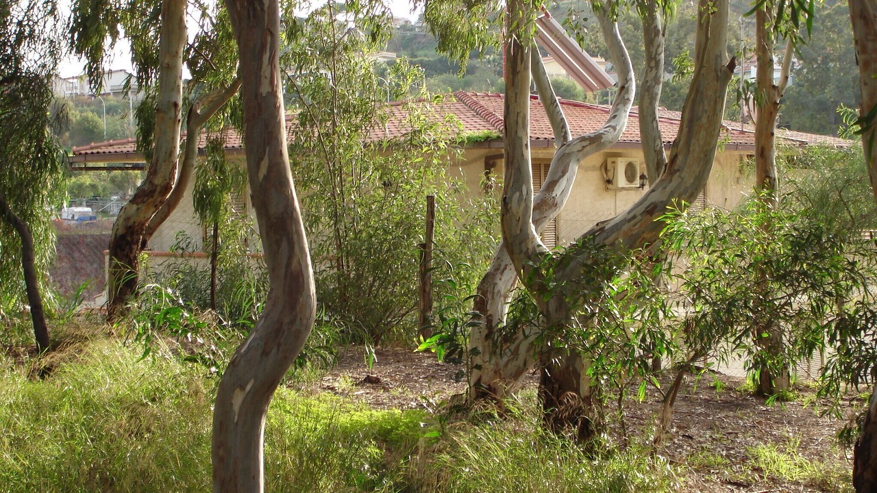 Photo of Outdoor in Balestrate