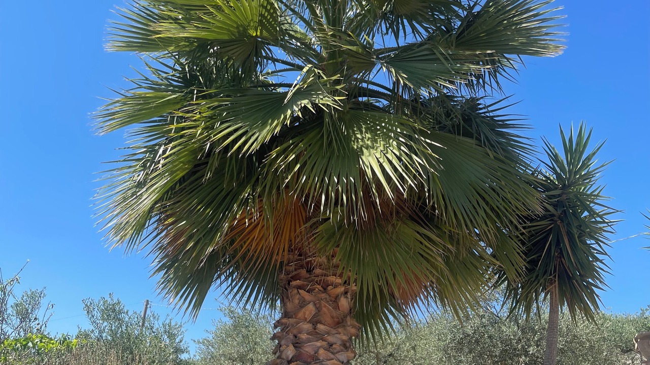 Photo of Outdoor in Villafranca Sicula