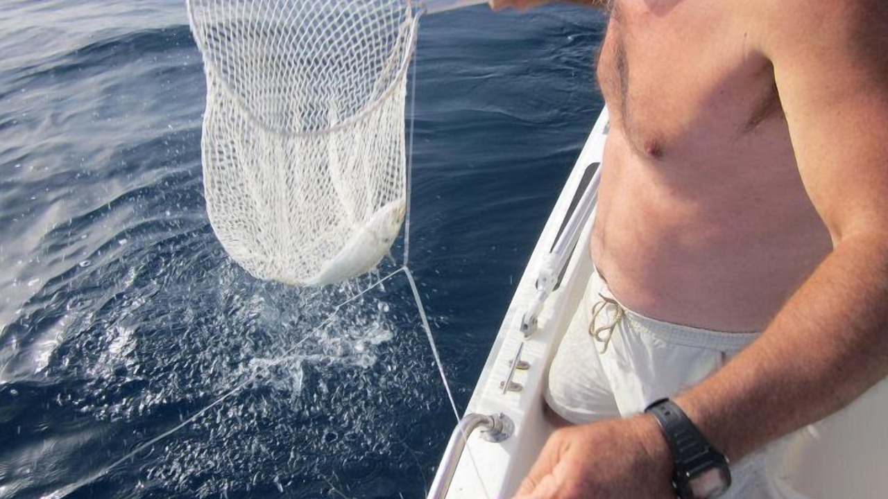 Photo of Others in Punta Secca