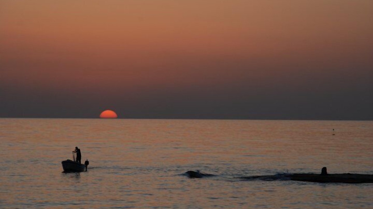 Photo of Others in Punta Secca