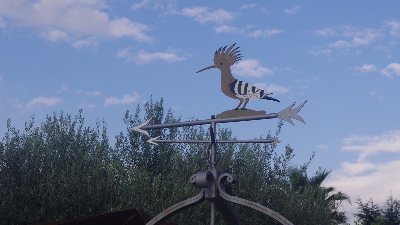 Photo of Outdoor in Viagrande