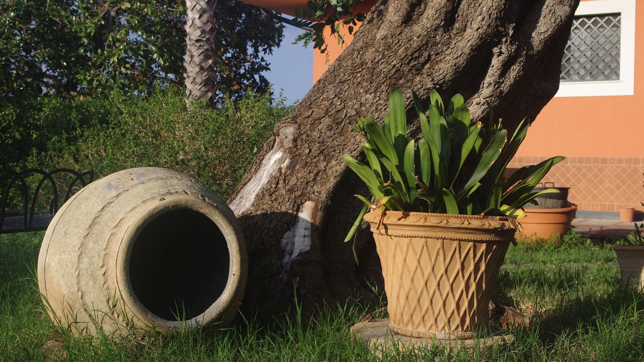 Photo of Outdoor in Viagrande