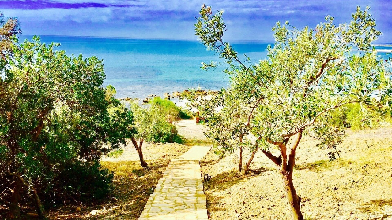 Photo of Others in Sciacca