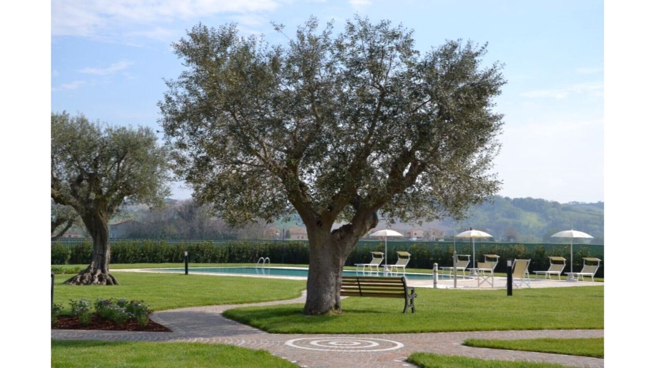 Photo of Outdoor in Mondolfo
