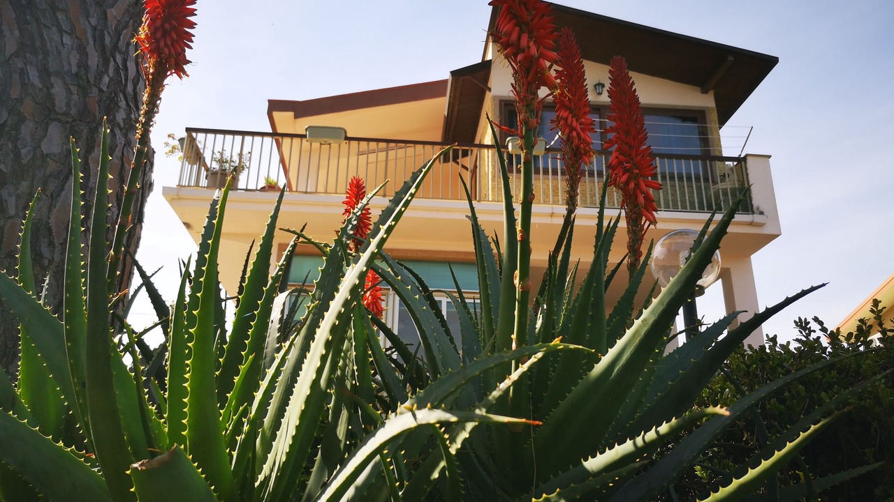 Photo of Outdoor in Costa Saracena-Castelluccio