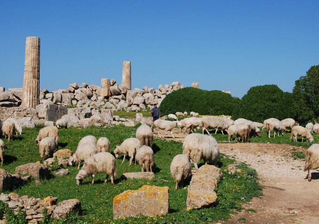 Photo of Outdoor in Marinella di Selinunte