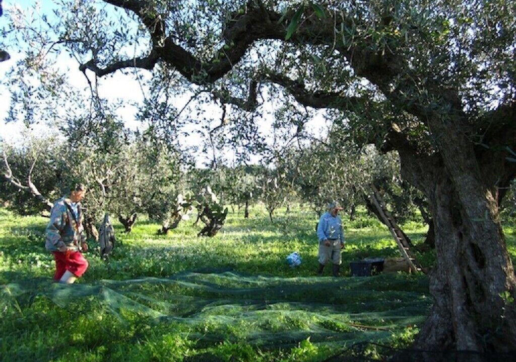 Photo of Outdoor in Marinella di Selinunte