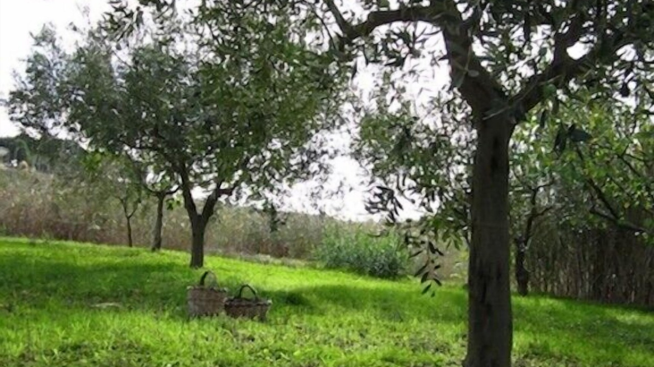 Photo of Outdoor in Marinella di Selinunte